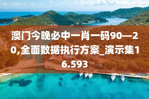 澳門今晚必中一肖一碼90—20,全面數據執行方案_演示集16.593