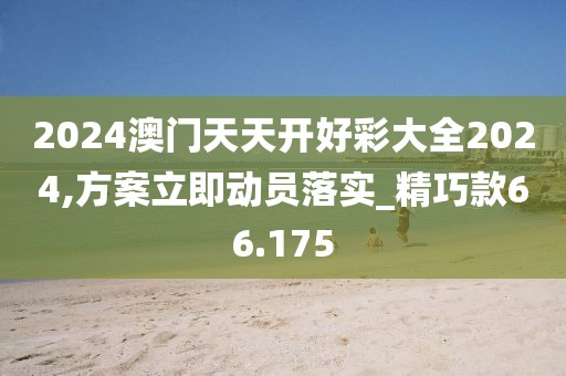 2024澳門天天開好彩大全2024,方案立即動員落實_精巧款66.175