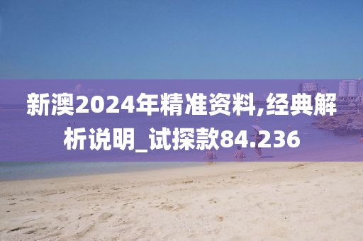 新澳2024年精準資料,經典解析說明_試探款84.236