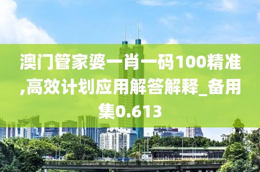 澳門管家婆一肖一碼100精準,高效計劃應用解答解釋_備用集0.613