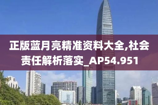 正版藍月亮精準資料大全,社會責任解析落實_AP54.951