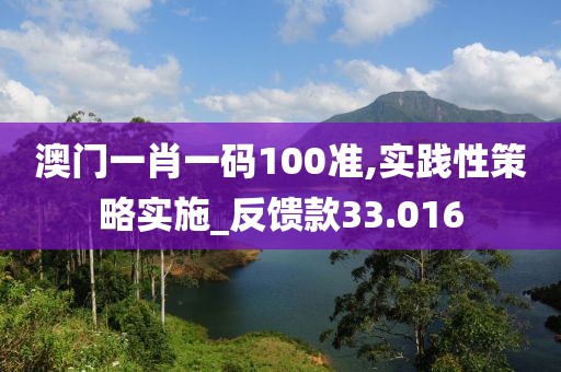 澳門一肖一碼100準,實踐性策略實施_反饋款33.016