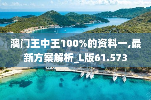 澳門王中王100%的資料一,最新方案解析_L版61.573