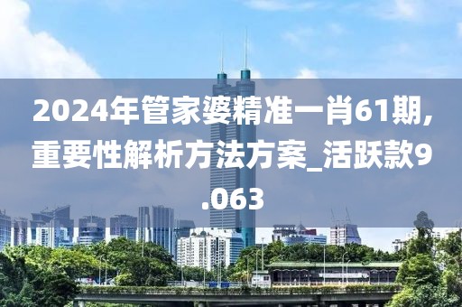 2024年管家婆精準一肖61期,重要性解析方法方案_活躍款9.063
