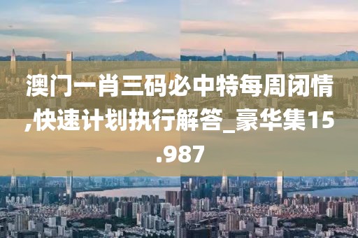 澳門一肖三碼必中特每周閉情,快速計劃執行解答_豪華集15.987