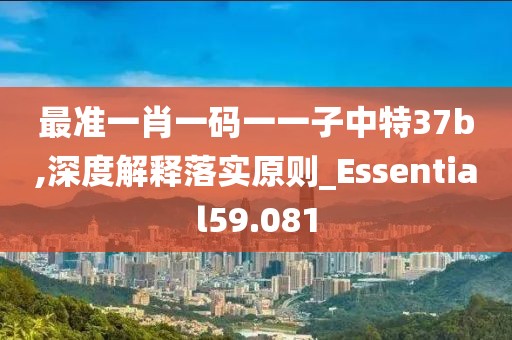 最準一肖一碼一一子中特37b,深度解釋落實原則_Essential59.081