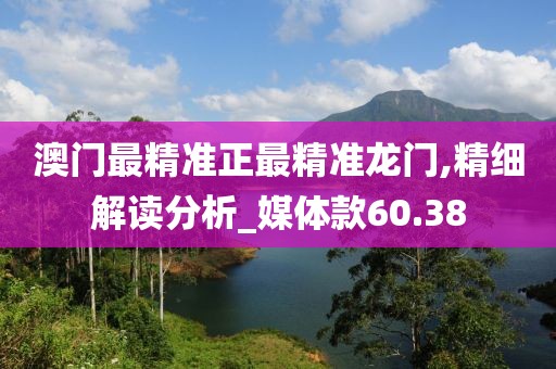 澳門最精準正最精準龍門,精細解讀分析_媒體款60.38