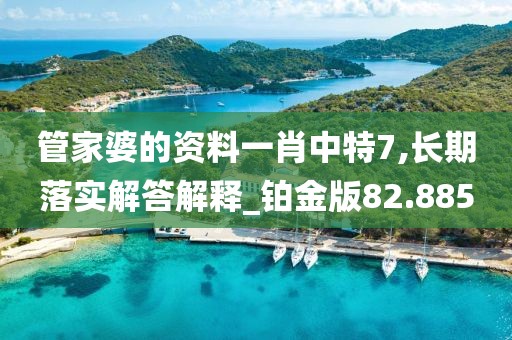 管家婆的資料一肖中特7,長期落實解答解釋_鉑金版82.885