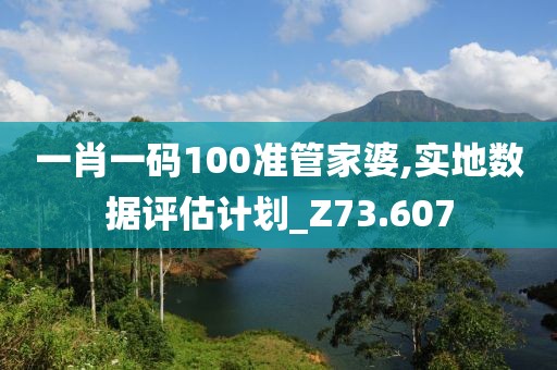 一肖一碼100準管家婆,實地數據評估計劃_Z73.607