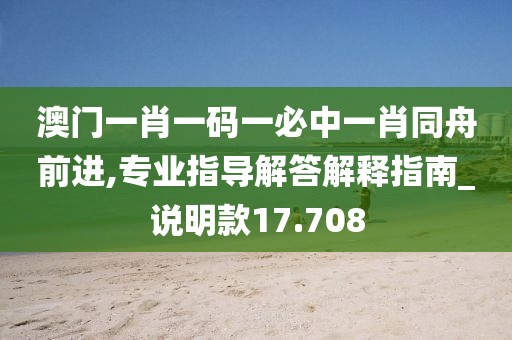 澳門一肖一碼一必中一肖同舟前進,專業指導解答解釋指南_說明款17.708