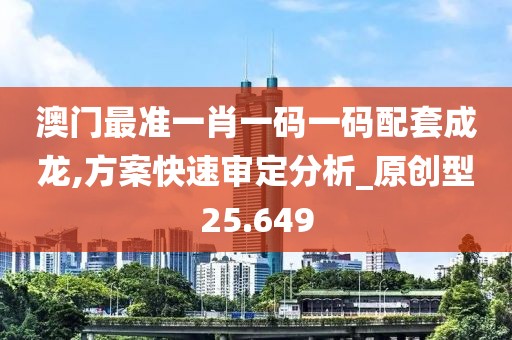 澳門最準一肖一碼一碼配套成龍,方案快速審定分析_原創型25.649