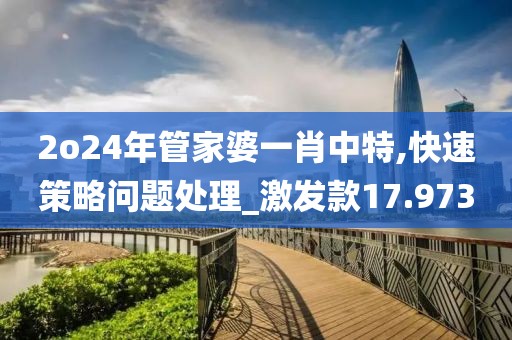 2o24年管家婆一肖中特,快速策略問題處理_激發款17.973