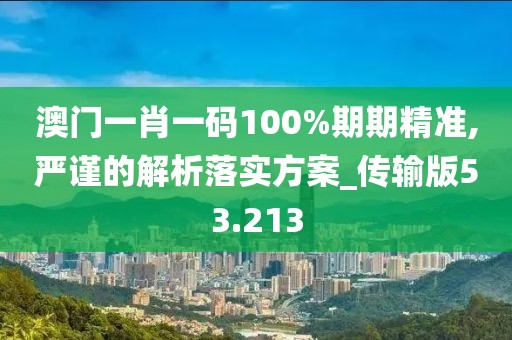 澳門一肖一碼100%期期精準,嚴謹的解析落實方案_傳輸版53.213