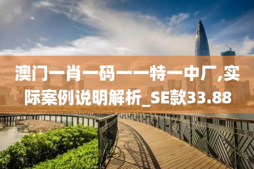 澳門一肖一碼一一特一中廠,實際案例說明解析_SE款33.88