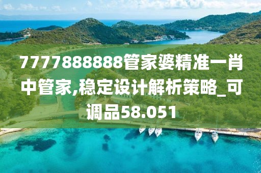 7777888888管家婆精準一肖中管家,穩定設計解析策略_可調品58.051