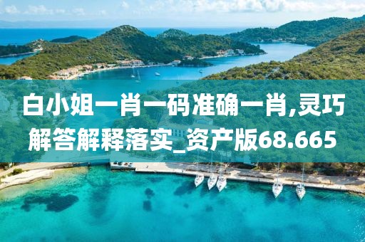 白小姐一肖一碼準確一肖,靈巧解答解釋落實_資產版68.665