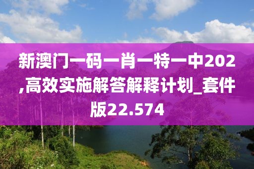 新澳門一碼一肖一特一中202,高效實施解答解釋計劃_套件版22.574