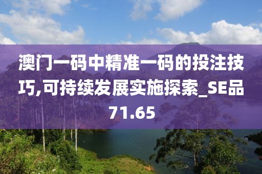 澳門一碼中精準一碼的投注技巧,可持續發展實施探索_SE品71.65