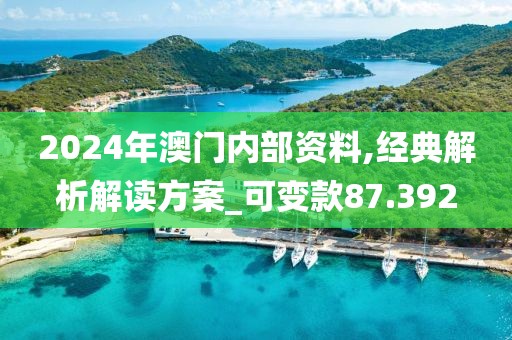 2024年澳門內部資料,經典解析解讀方案_可變款87.392