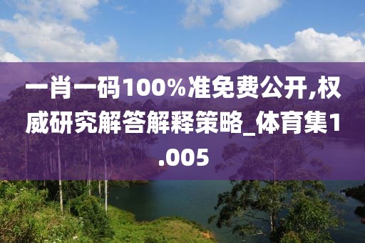 一肖一碼100%準免費公開,權威研究解答解釋策略_體育集1.005