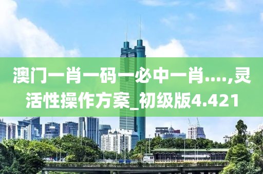 澳門一肖一碼一必中一肖....,靈活性操作方案_初級版4.421