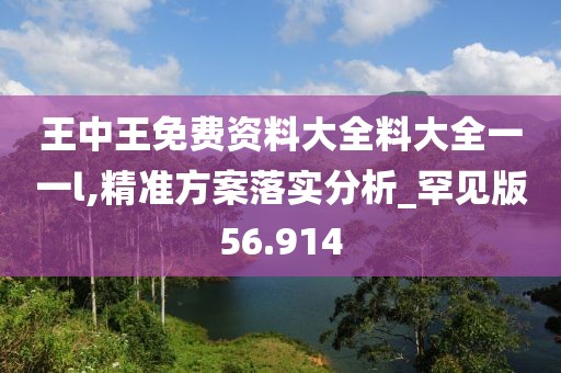 王中王免費資料大全料大全一一l,精準方案落實分析_罕見版56.914
