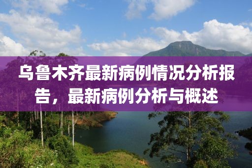 烏魯木齊最新病例情況分析報告，最新病例分析與概述