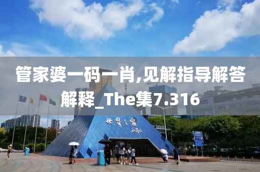 管家婆一碼一肖,見解指導解答解釋_The集7.316