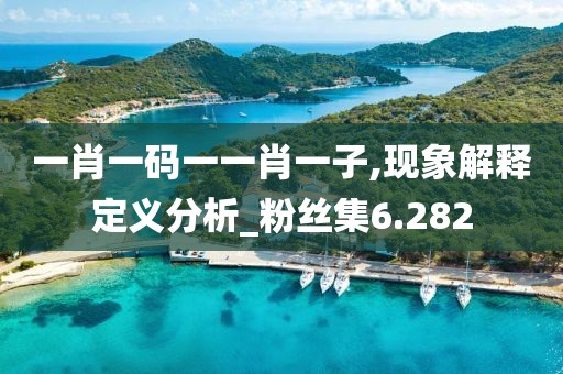 一肖一碼一一肖一子,現象解釋定義分析_粉絲集6.282