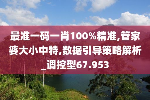 最準一碼一肖100%精準,管家婆大小中特,數據引導策略解析_調控型67.953