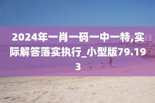 2024年一肖一碼一中一特,實際解答落實執行_小型版79.193