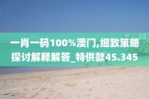 一肖一碼100%澳門,細致策略探討解釋解答_特供款45.345