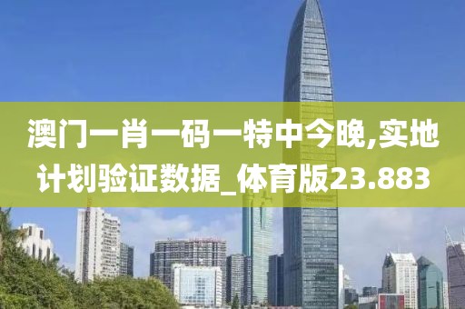 澳門一肖一碼一特中今晚,實地計劃驗證數據_體育版23.883