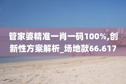 管家婆精準一肖一碼100%,創新性方案解析_場地款66.617