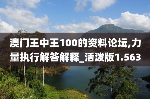 澳門王中王100的資料論壇,力量執行解答解釋_活潑版1.563