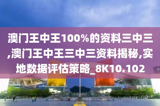 澳門王中王100%的資料三中三,澳門王中王三中三資料揭秘,實地數據評估策略_8K10.102