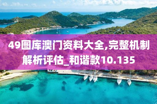 49圖庫澳門資料大全,完整機制解析評估_和諧款10.135