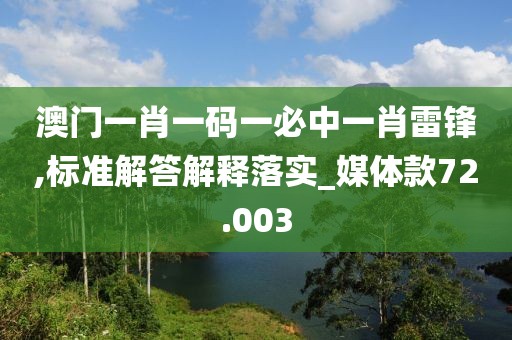 澳門一肖一碼一必中一肖雷鋒,標準解答解釋落實_媒體款72.003