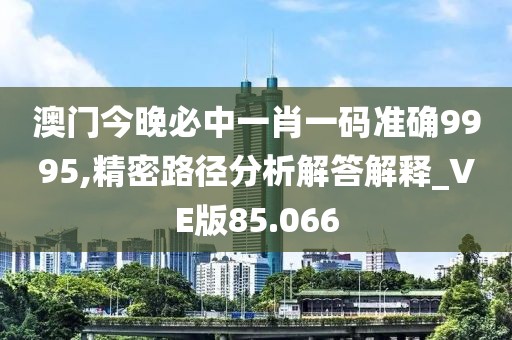 澳門今晚必中一肖一碼準確9995,精密路徑分析解答解釋_VE版85.066