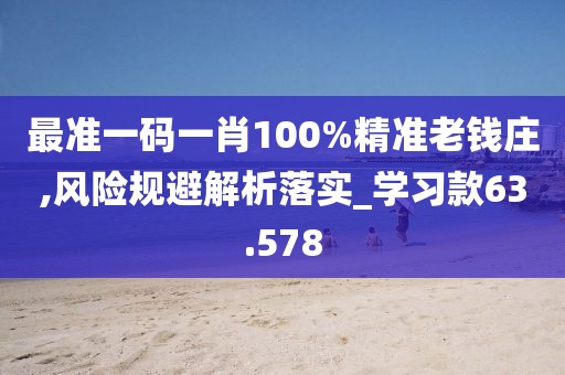 最準一碼一肖100%精準老錢莊,風險規避解析落實_學習款63.578