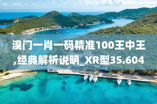 溴門一肖一碼精準100王中王,經典解析說明_XR型35.604