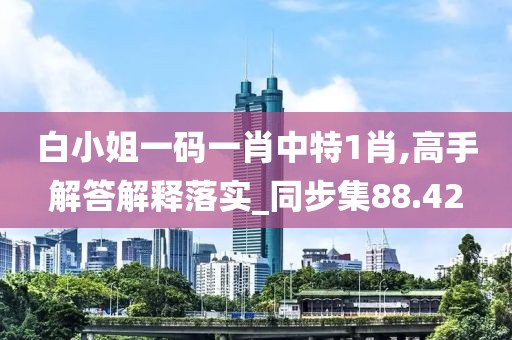 白小姐一碼一肖中特1肖,高手解答解釋落實_同步集88.42