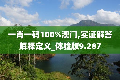 一肖一碼100%澳門,實證解答解釋定義_體驗版9.287