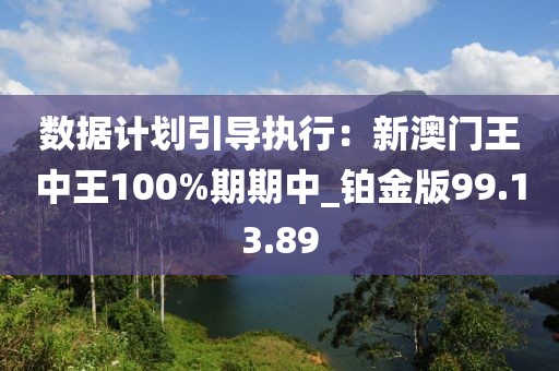 數據計劃引導執行：新澳門王中王100%期期中_鉑金版99.13.89