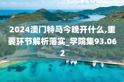 2024澳門特馬今晚開什么,重要環節解析落實_學院集93.062