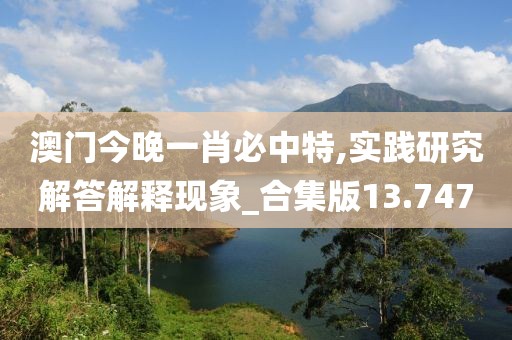 澳門今晚一肖必中特,實踐研究解答解釋現象_合集版13.747