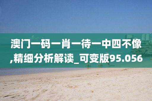 澳門一碼一肖一待一中四不像,精細分析解讀_可變版95.056