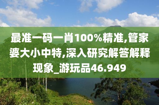 最準一碼一肖100%精準,管家婆大小中特,深入研究解答解釋現象_游玩品46.949