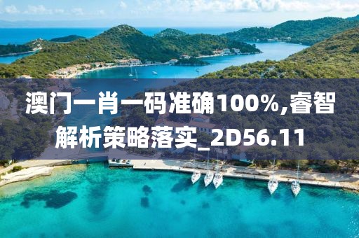 澳門一肖一碼準確100%,睿智解析策略落實_2D56.11