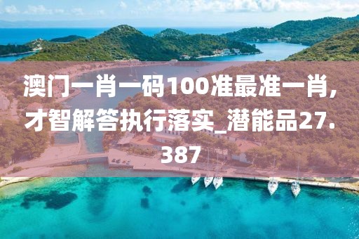 澳門一肖一碼100準最準一肖,才智解答執行落實_潛能品27.387